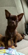 ��������. ����