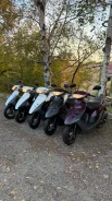Honda Dio AF35. 49����. ��., ��������, ���������, ��� ������� ����