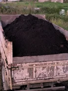 ��������. ����