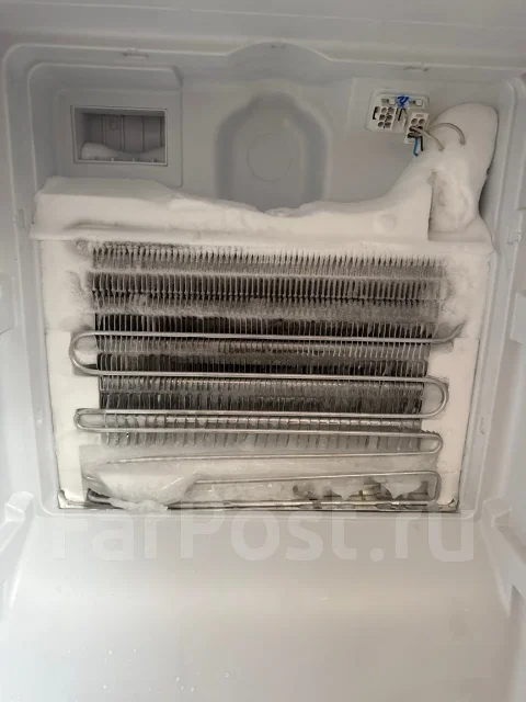 ������ �������������. ����