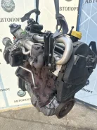 ��������� Renault Kangoo 2008-2013 8201294455 K9K802 8201294455 ����
