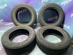Bridgestone Blizzak DM-V1