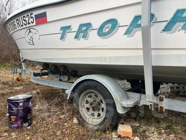 Bayliner. 2000 ���, ����� 6,5��., ��������� ���������, 115��.�., ������ ����