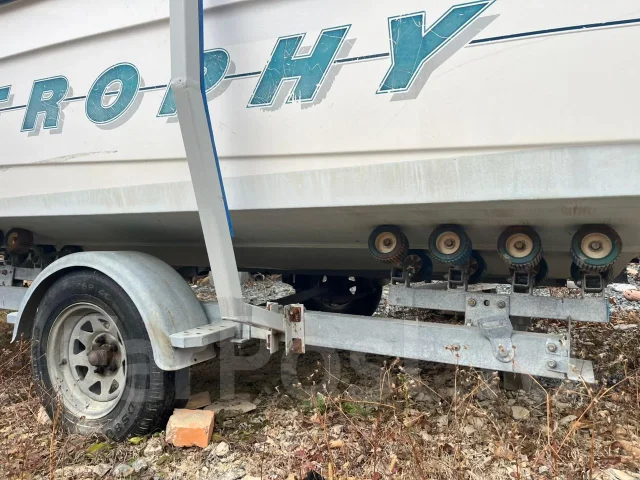 Bayliner. 2000 ���, ����� 6,5��., ��������� ���������, 115��.�., ������ ����