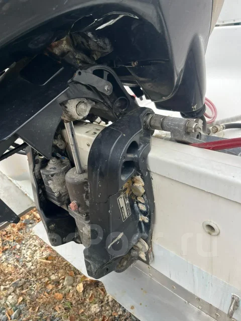 Bayliner. 2000 ���, ����� 6,5��., ��������� ���������, 115��.�., ������ ����