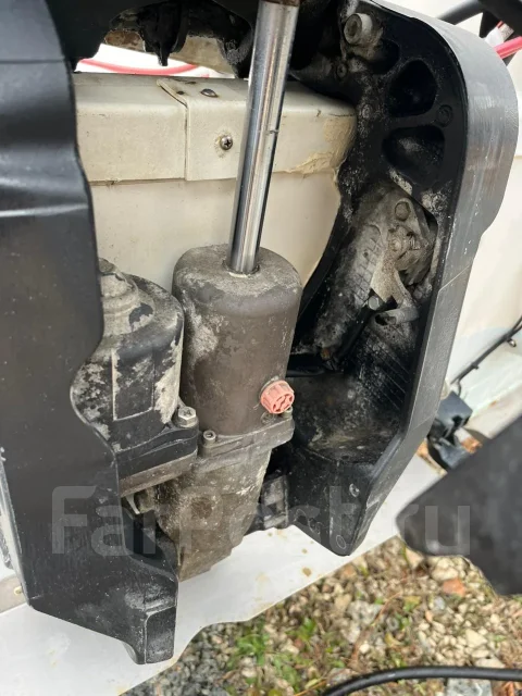 Bayliner. 2000 ���, ����� 6,5��., ��������� ���������, 115��.�., ������ ����