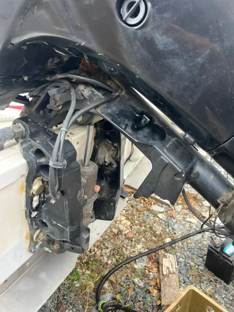 Bayliner. 2000 ���, ����� 6,5��., ��������� ���������, 115��.�., ������ ����