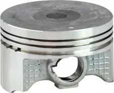 ������� Suzuki DF4A-30A (STD) ����