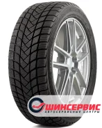 Delinte Winter WD6