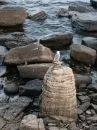 �����������. ������������� ���. ����������� ��� ���. ����