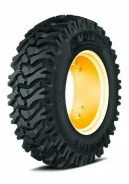 Apollo Y-Lon