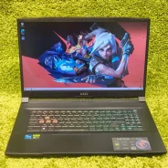 MSI. 17", WiFi: 1 ����