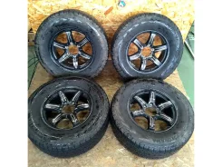Tan-ei-sya