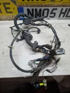 �������� ����� Nissan Primera 24124AV003, �������� ����� 24124AV003 ����