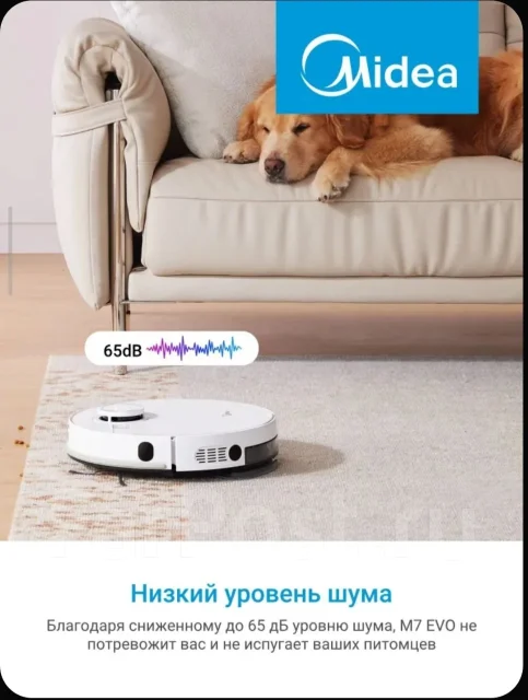 ������-�������� � ������� �������. ����