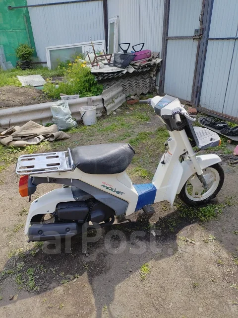 Suzuki Mollet. 49����. ��., ��������, ���������, ������ �� �� ����
