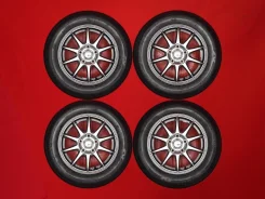 Abelia Sport