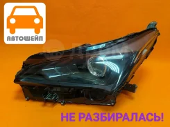 ���� ����� Lexus NX 2017-2021 FULL LED, �������� 8118578180 ����