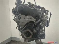 ���������� ������������ Volkswagen Passat 6 2005-2010 11969722 5N0820803C ����
