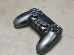 ��������. ����