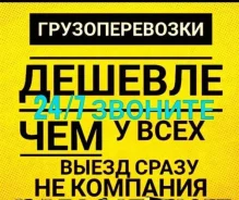 ������� ��������. ����