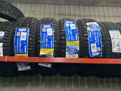 LingLong Leao Winter Defender Grip