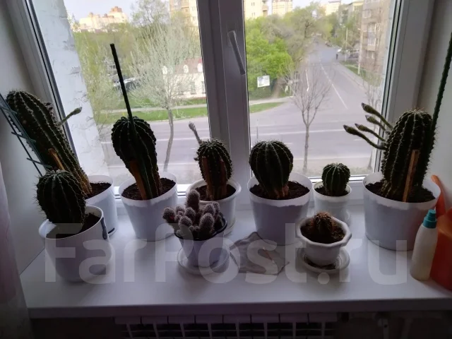 ������. ����