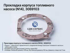 ��������� ������� ���� N14, 3069103 3069103 ����