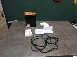 ���� �������. ����