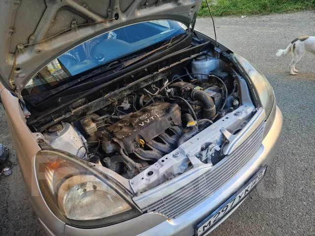 Toyota Funcargo. �������, ��������, 1.3 (88��.�.), ������, 560 000����. �� ����