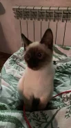 �������� �����. ����