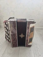 �����. ����