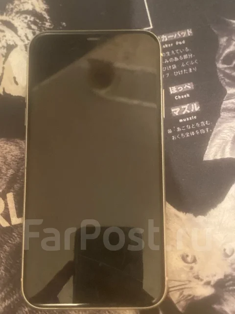 Apple iPhone 11. �/�, 64 ��, �����, 3G, 4G LTE, eSIM, ������� �������, ������������ ������� ����