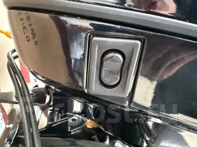 Mercury. 60��.�., 4-�������, ����������, ���� L (508 ��), 2026 ��� ����