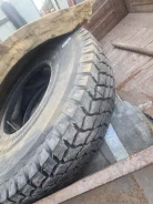 TyRex All Steel DR-1. �����������, 2025 ���, ����� ����