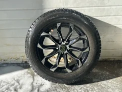 Triangle PS01. ������, ����������, �/�, ����� 25 % ����