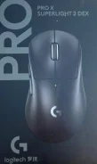 ���� �������. ����