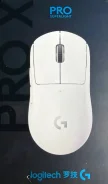 ���� �������. ����