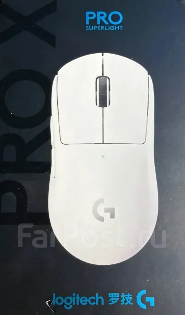 ���� �������. ����
