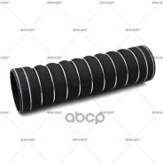 �����, ���������� Auger ���. 54935 54935 ����