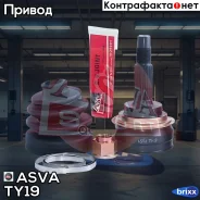 ���� ������� | ����� ����/��� | ASVA ���. TY19 TY19 ����