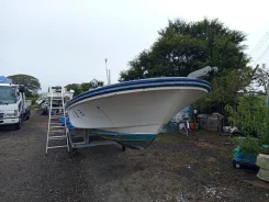 Yamaha W-25. 2014 ���, ����� 8,2��., ��������� ���������, 100��.�., ������. ��� ����� �� ������������ ����