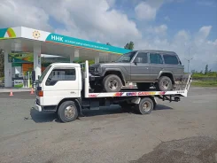 ����������. ����