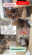 ����������� �����. ����