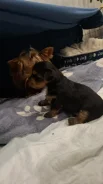 ���� ����������� ������. ����