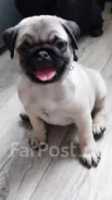 ����. ����