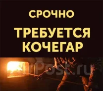 ��������, ������� ���������. ������������ �������. ����� ������� 139 ����