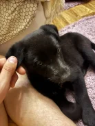 �������� ����