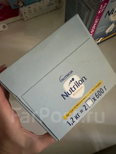 �������� �����. ����