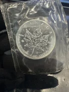 ���������� ������ ������ 5 �������� 1991 ��� �������� ���� ����